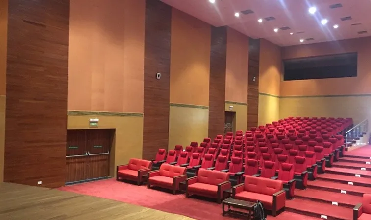 Auditorium with timber-panelled walls, red velvet seats and front-row sofas